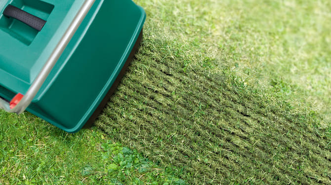 Odstraňte travní plsť provzdušňováním trávníku 1