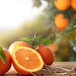 Dočkáte se plodů, pokud zasadíte semínko pomeranče? 5