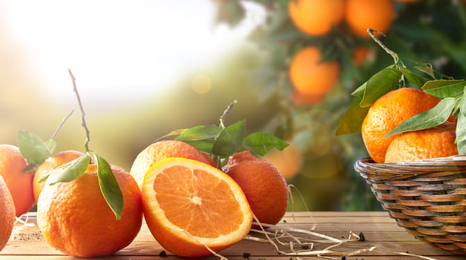 Dočkáte se plodů, pokud zasadíte semínko pomeranče? 1