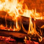 Lidé se vracejí k topení dřevem 8