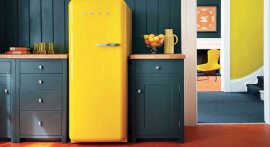 Správné čištění chladničky prodlouží její životnost 7