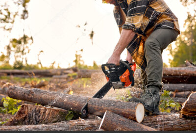 Jak nejlépe řezat dřevo? 1
